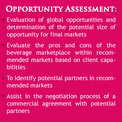 Opportunity Assessment