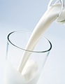 Milk and Dairy Beverages in the U.S. through 2023: Market Essentials